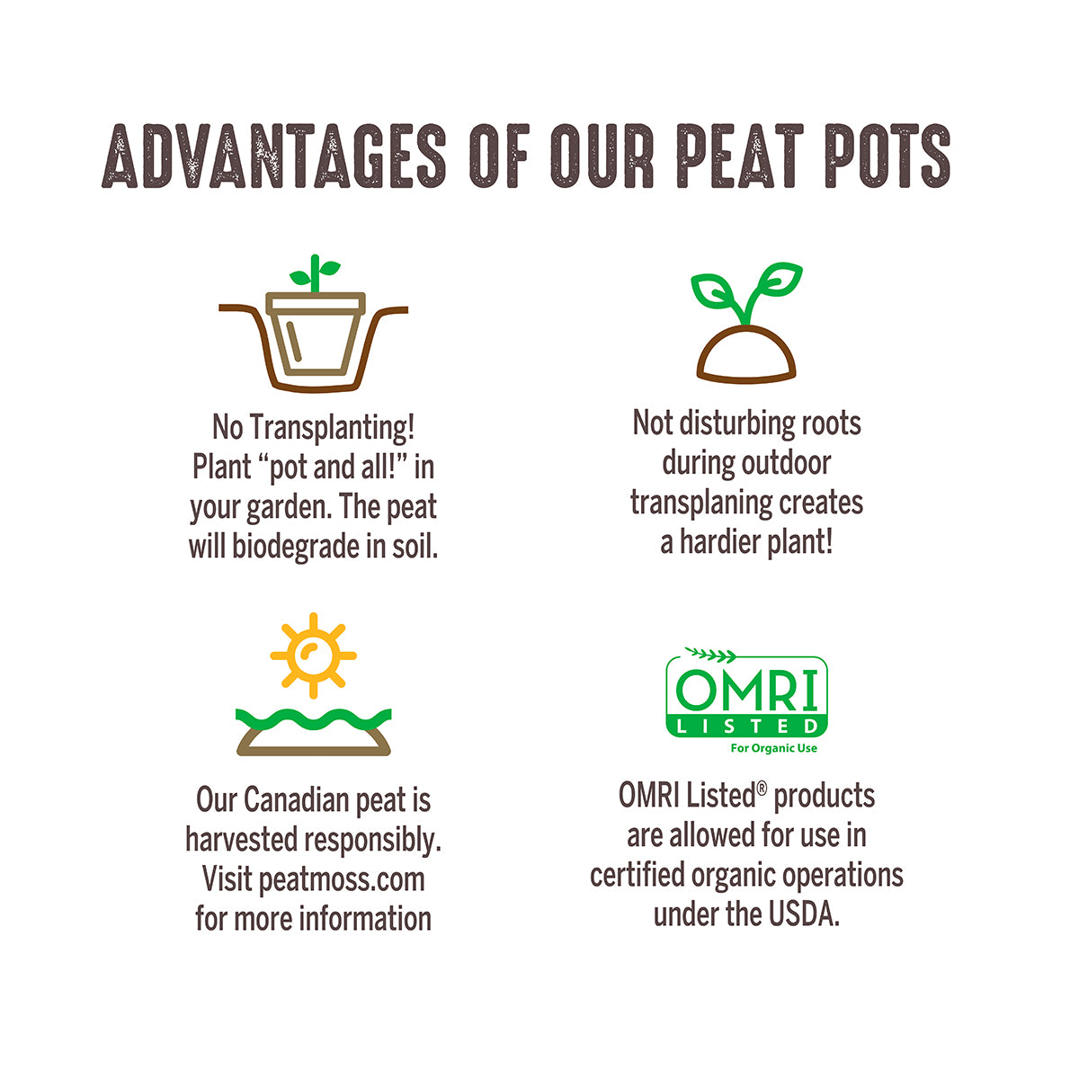 Advantages of peat pots